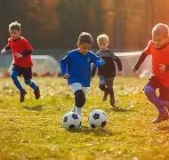 乐鱼体育,产品,乐鱼体育官方,乐鱼体育官方,乐鱼体育在线官网,乐鱼体育线上,乐鱼体育APP