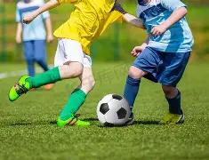 国米快讯,博尼左膝小,伤在身,乐鱼体育官方,乐鱼体育在线官网,乐鱼体育线上,乐鱼体育APP