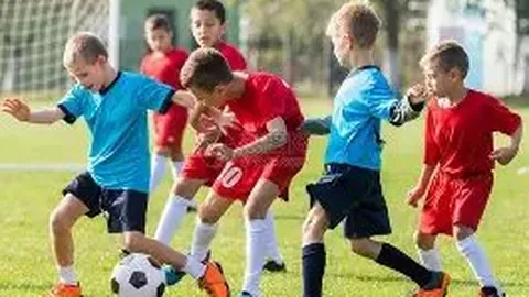 乐鱼体育 资讯 120158 35p