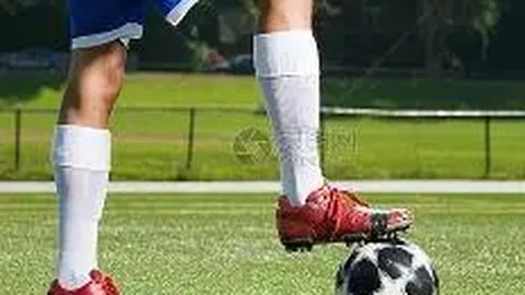 乐鱼体育 产品 143742 p4c