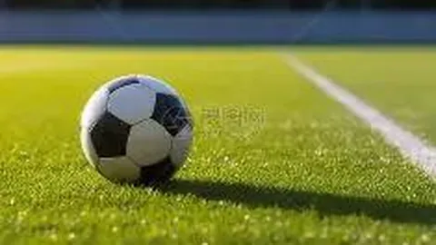 乐鱼体育 产品 142109 uox