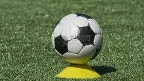 乐鱼体育 产品 142427 1rr