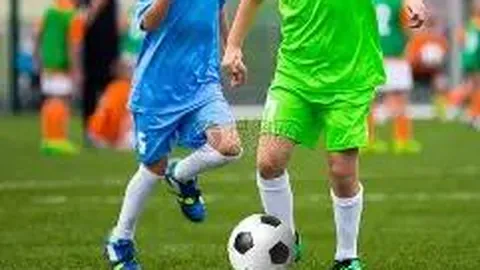 乐鱼体育 产品 111246 ooe